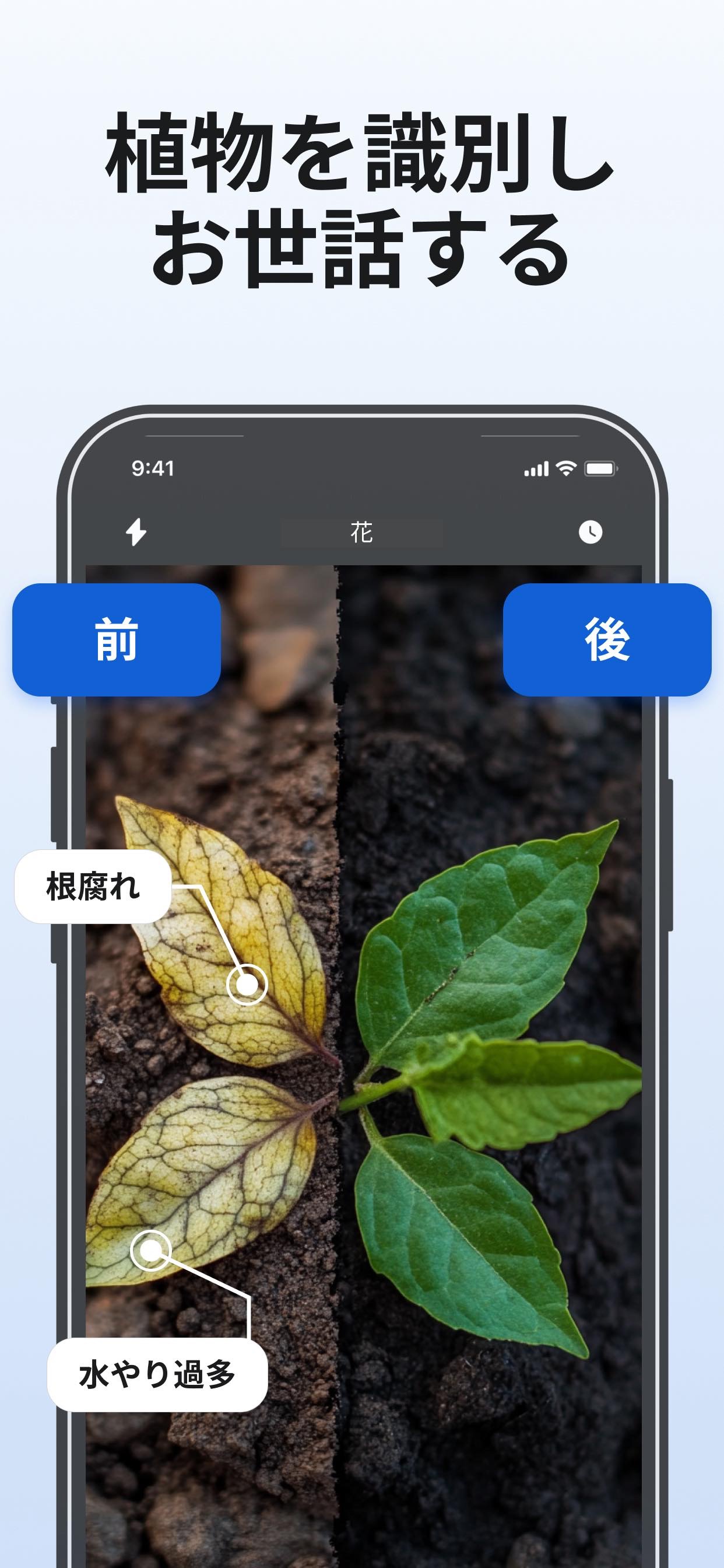 植物を識別し、手入れに役立つ情報を表示するLens AI